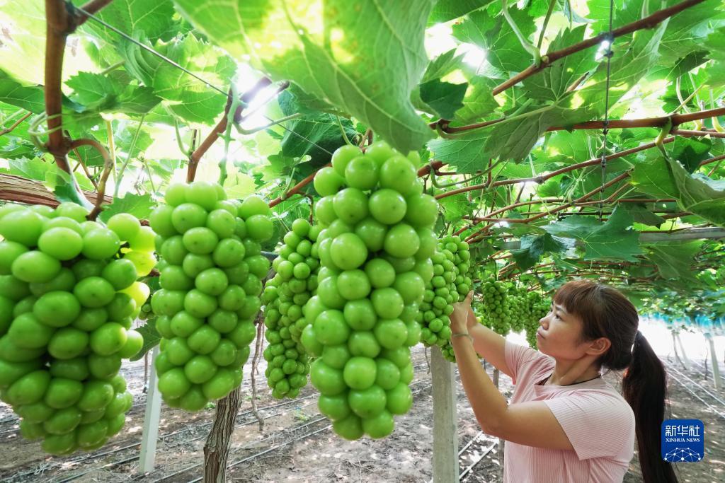 星际娱乐场官网
