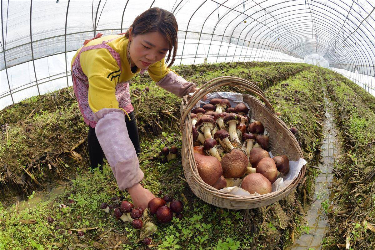 官方金沙游戏